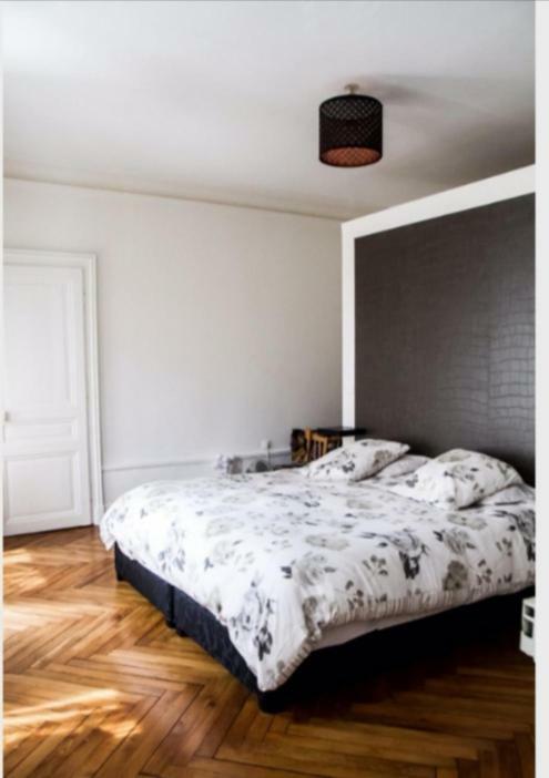 Grand Appartement Haussmannien 160M2 Besançon Esterno foto
